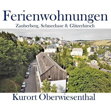 Ferienwohnungen Zauberberg, Schneehase & Glitzerhirsch Oberwiesenthal Exteriér fotografie
