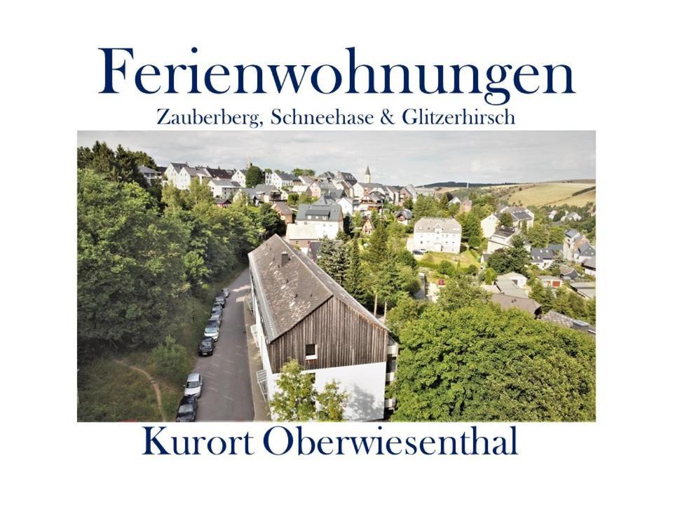 Ferienwohnungen Zauberberg, Schneehase & Glitzerhirsch Oberwiesenthal Exteriér fotografie